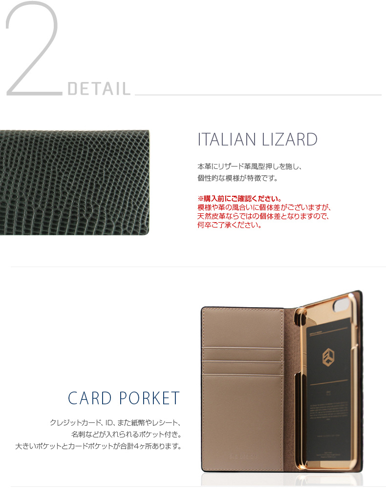Lizard_Case_04